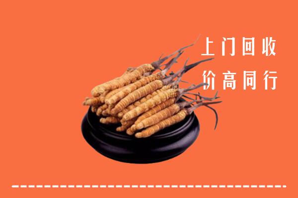 收购行情：东城区回收散虫草