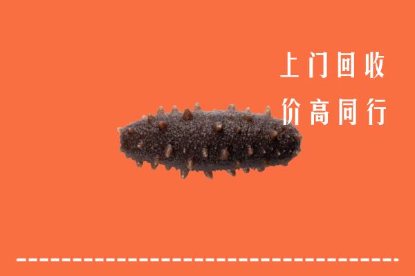 东城区回收海参
