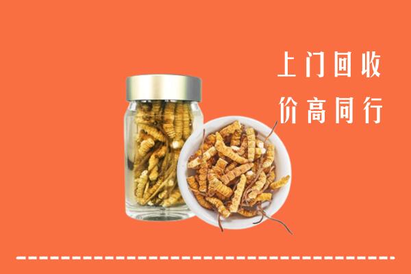 东城区回收冬虫夏草