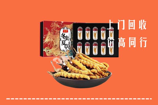 东城区回收虫草